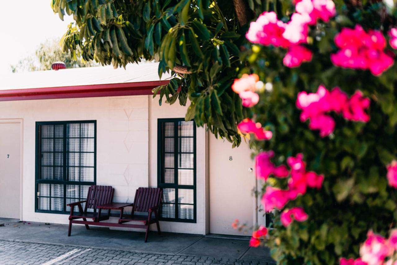 Motel Poinsettia Port Augusta Exterior foto